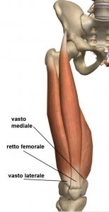 Quadricipite Femorale - Allenamento News AIPT