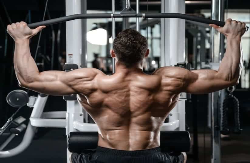 allenamento-dorsali-news-allenamento-aipt