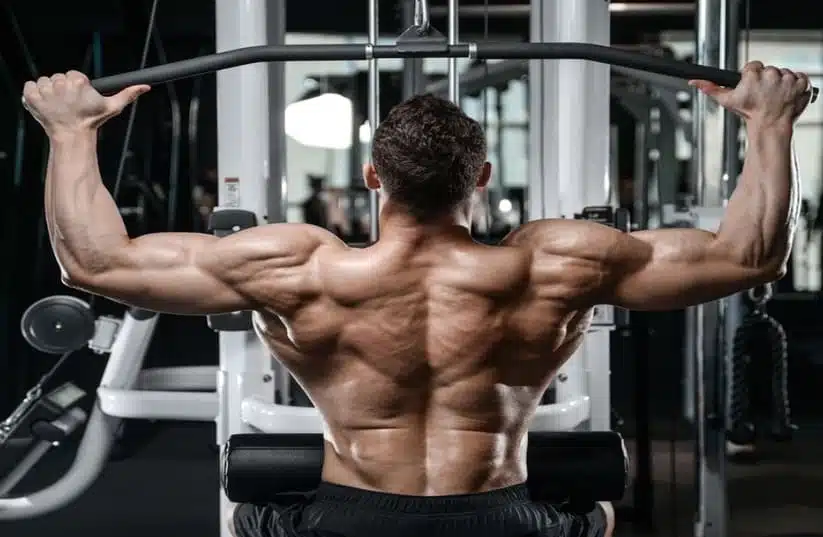allenamento-dorsali-news-allenamento-aipt