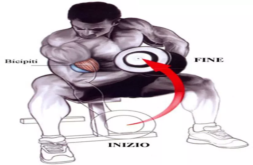 curl-concentrato-news-aipt