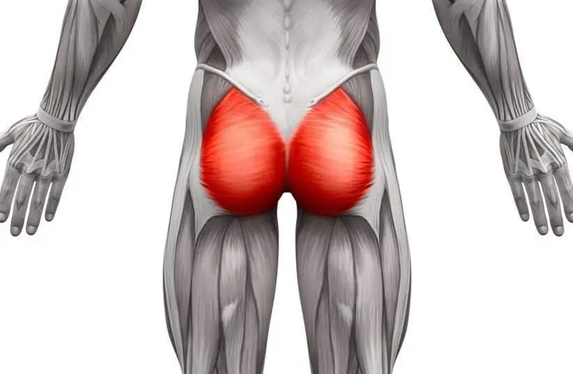grande-gluteo