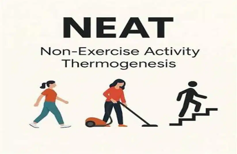 neat-news-aipt
