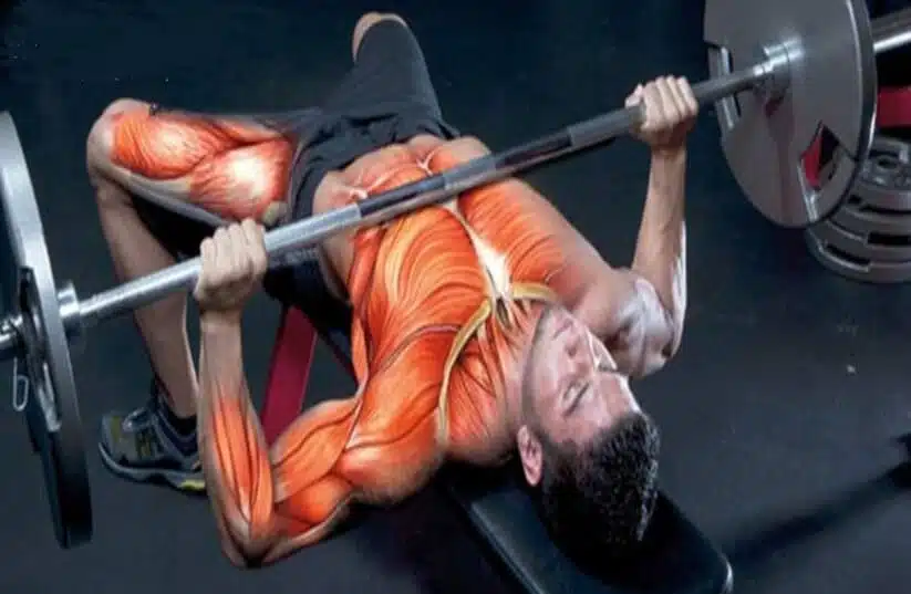 panca-piana-news-aipt