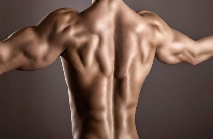 schiena-allenamento-aipt