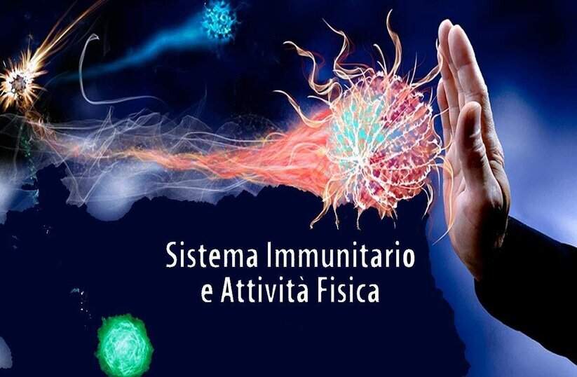 sistema-immunitario-sport